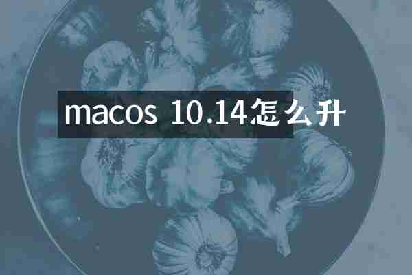 macos 10.14怎么升