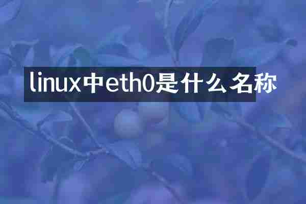 linux中eth0是什么名称