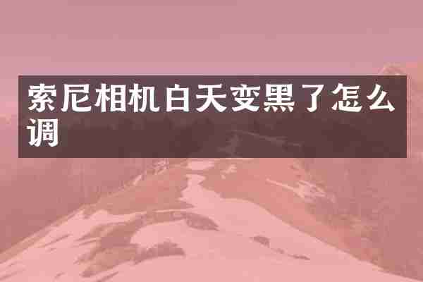 相机白天变黑了怎么调