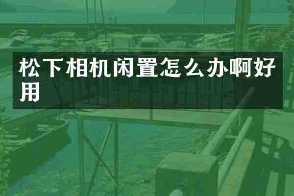 松下相机闲置怎么办啊好用