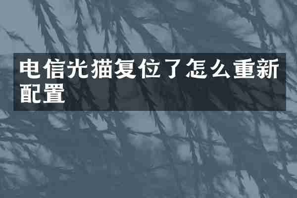 电信光猫复位了怎么重新配置