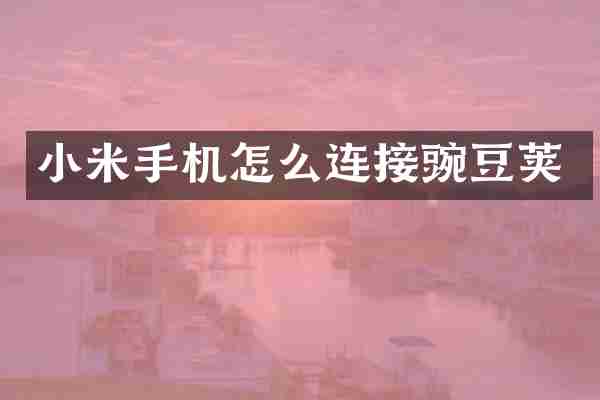 小米手机怎么连接豌豆荚