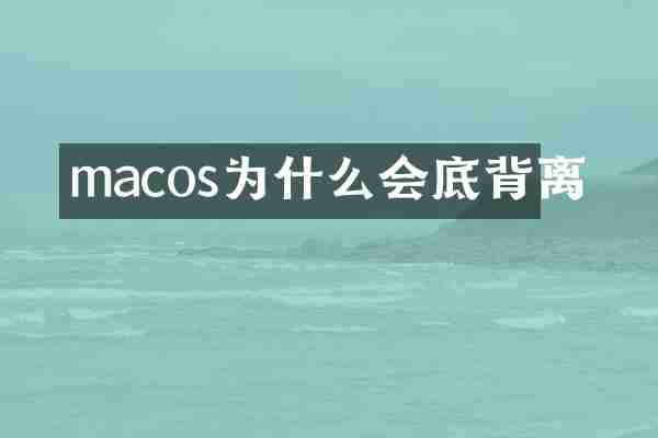 macos为什么会底背离