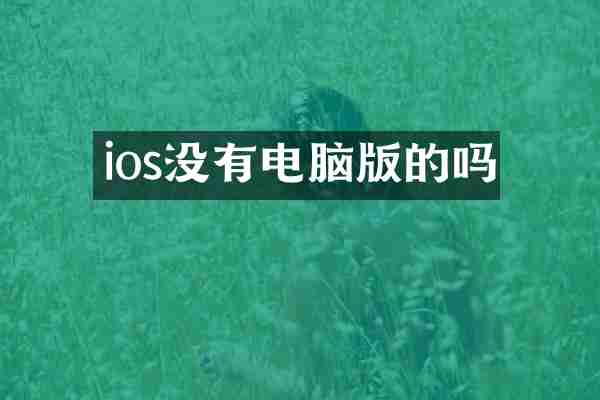 ios没有电脑版的吗