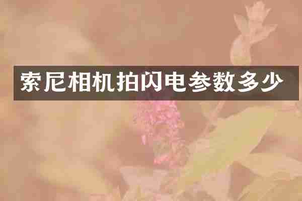 相机拍闪电参数多少