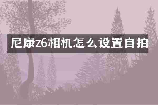 尼康z6相机怎么设置