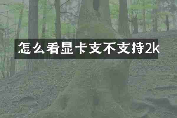 怎么看显卡支不支持2k