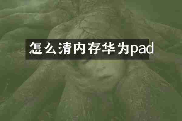 怎么清内存华为pad
