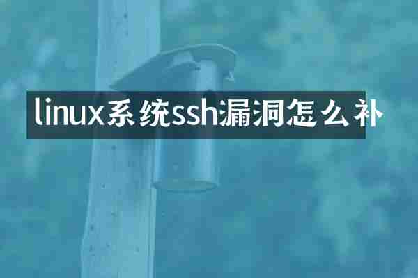 linux系统ssh漏洞怎么补