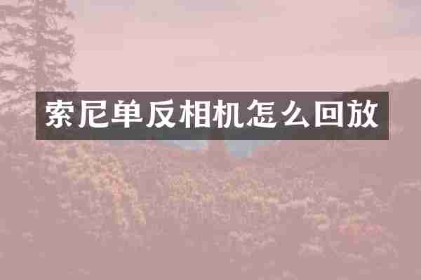单反相机怎么回放