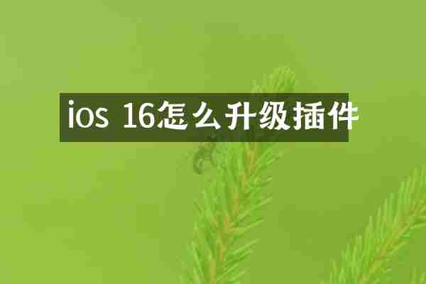 ios 16怎么升级插件