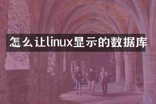 怎么让linux显示的数据库