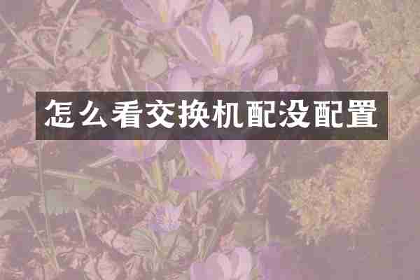 怎么看交换机配没配置