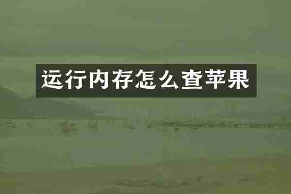 运行内存怎么查苹果
