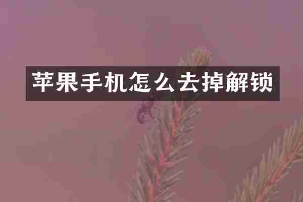 苹果手机怎么去掉解锁