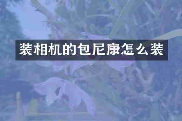装相机的包尼康怎么装