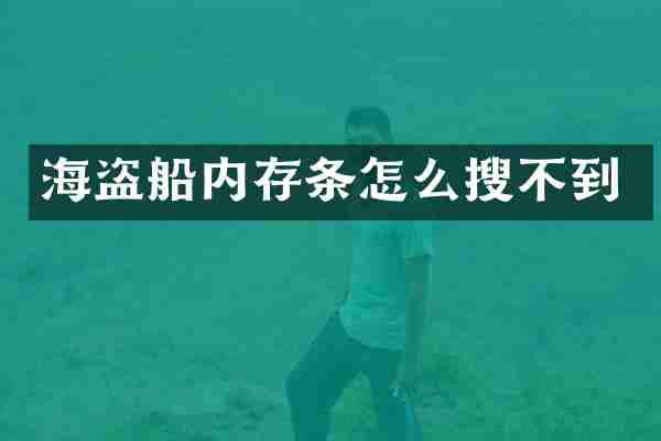 海盗船内存条怎么搜不到