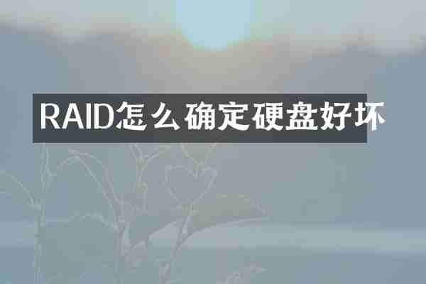 RAID怎么确定硬盘好坏