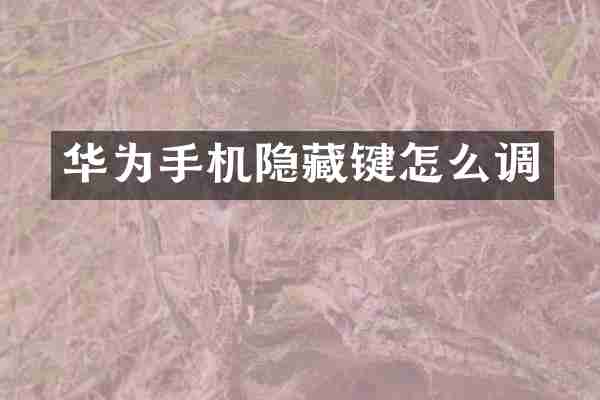 华为手机隐藏键怎么调