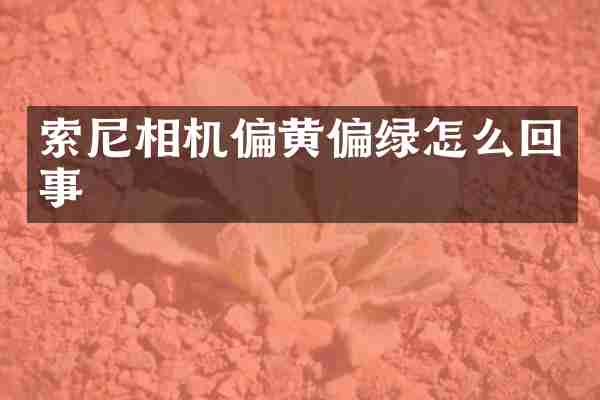 相机偏黄偏绿怎么回事