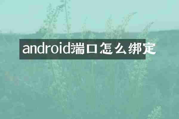 android端口怎么绑定