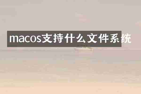 macos支持什么文件系统
