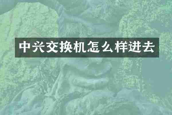 中兴交换机怎么样进去
