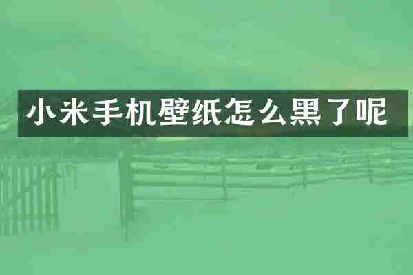 小米手机壁纸怎么黑了呢