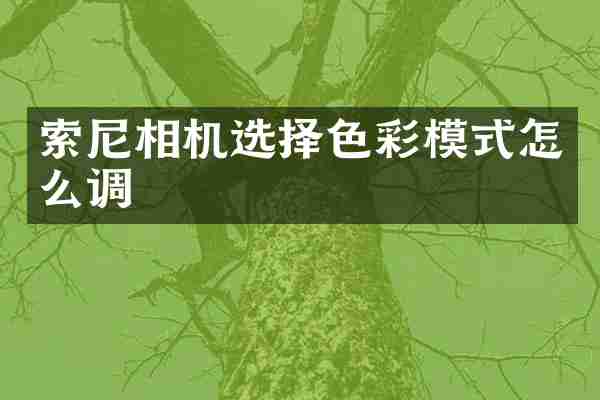 索尼相机选择色彩模式怎么调