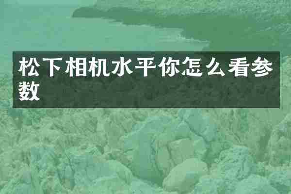 松下相机水平你怎么看参数