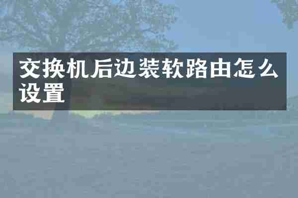 交换机后边装软路由怎么设置