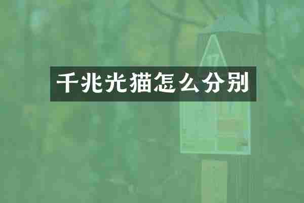 千兆光猫怎么分别