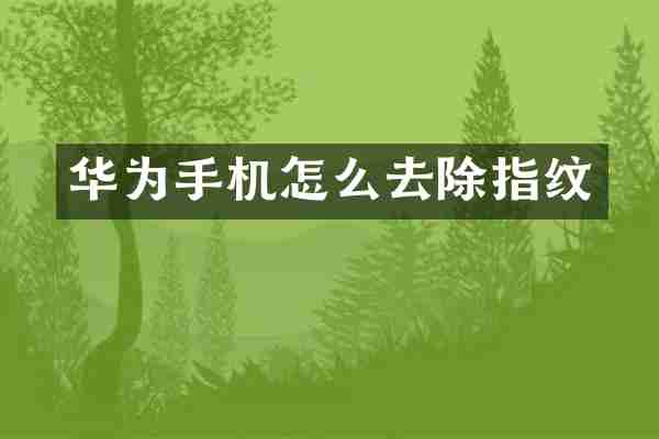 华为手机怎么去除指纹