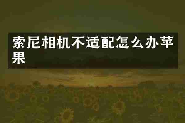 索尼相机不适配怎么办苹果