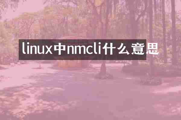 linux中nmcli什么意思