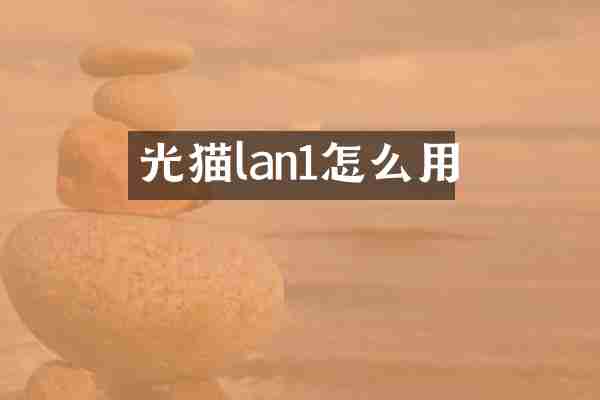 光猫lan1怎么用