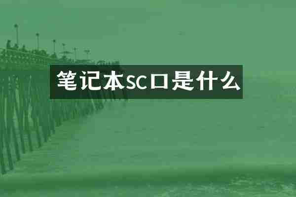 笔记本sc口是什么