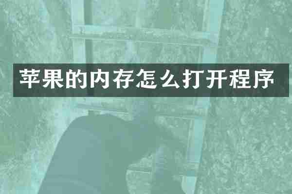 苹果的内存怎么打开程序