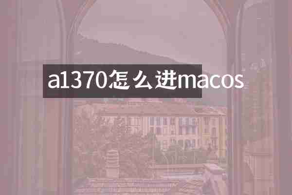 a1370怎么进macos