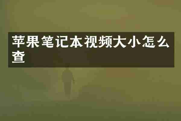 苹果笔记本视频大小怎么查