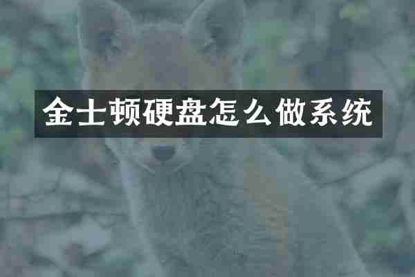 金士顿硬盘怎么做系统