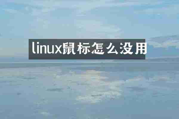 linux鼠标怎么没用