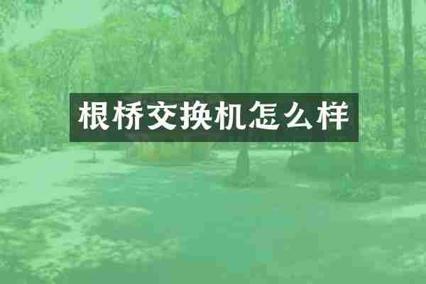 根桥交换机怎么样