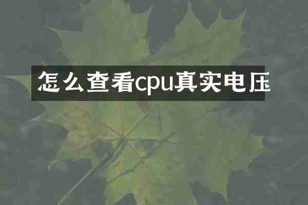 怎么查看cpu真实电压
