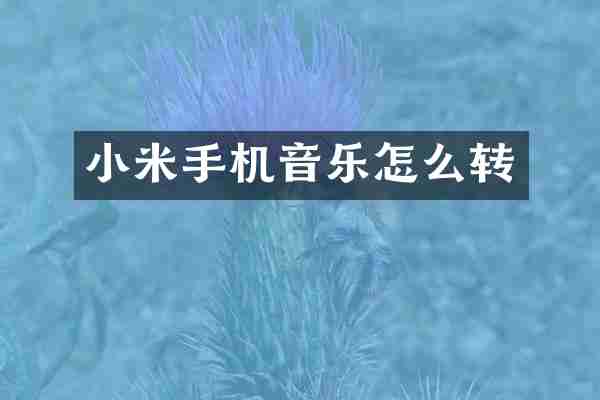 小米手机音乐怎么转