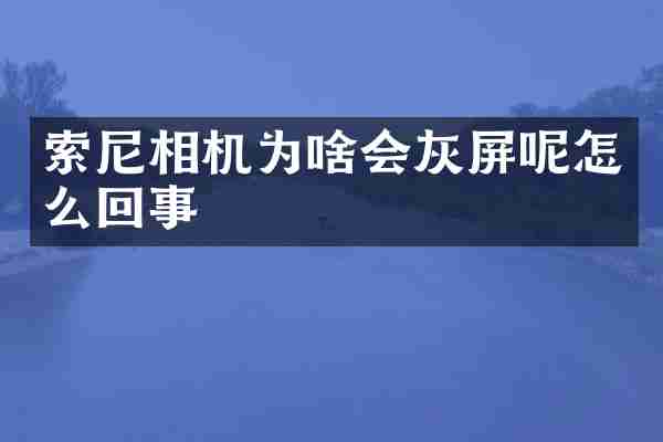索尼相机为啥会灰屏呢怎么回事