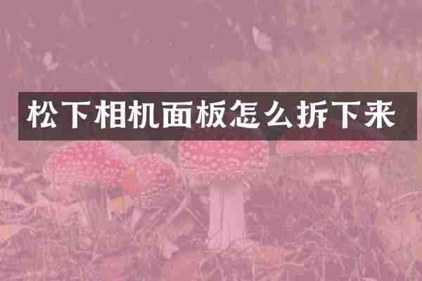 松下相机面板怎么拆下来