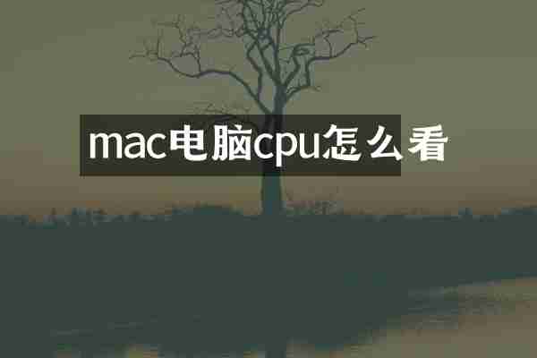 mac电脑cpu怎么看
