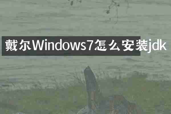 戴尔Windows7怎么安装jdk