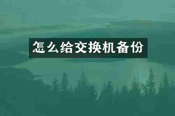 怎么给交换机备份